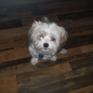 Meet your Posher, Tina